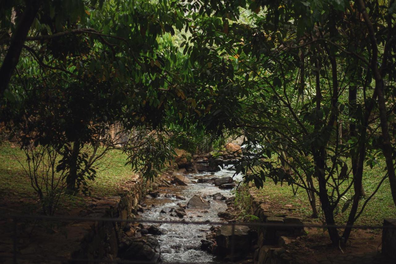 Sati Villa Kandy Sri Lanka Exteriér fotografie